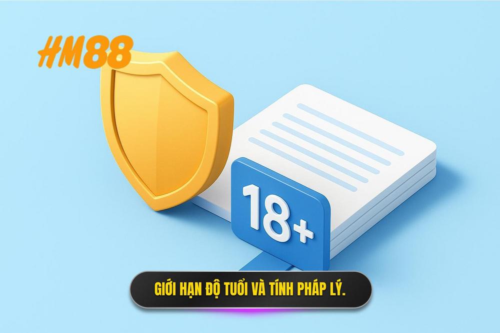 2.giới Hạn Độ Tuổi Tham Gia Và Tính Pháp Lý